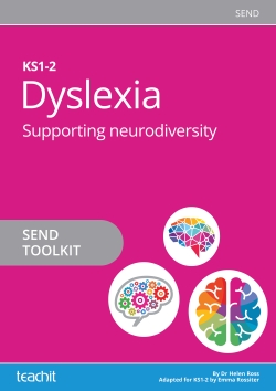 dyslexia toolkit for primary schools 