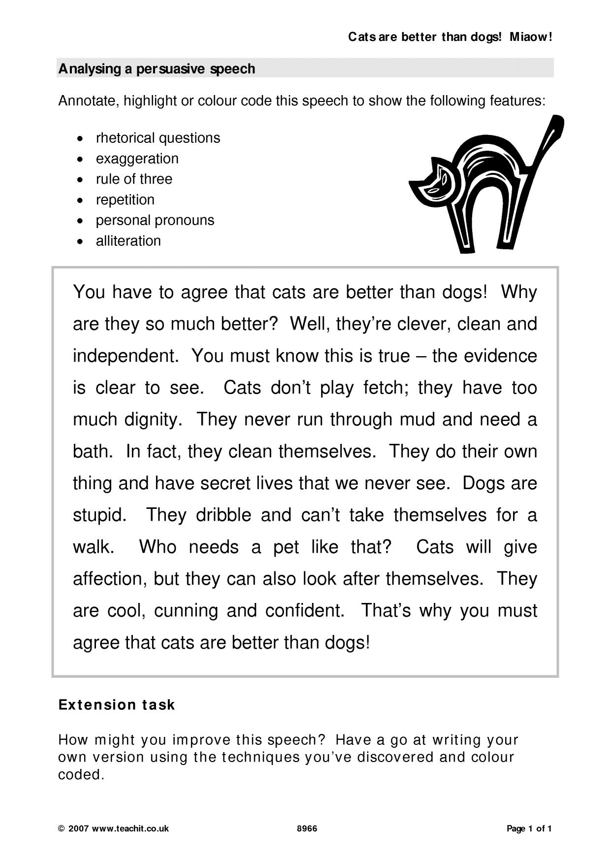 informative essay about cats