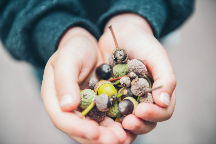 A child playing with nature