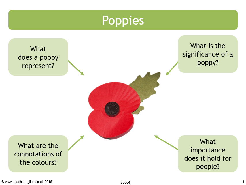 ‘Poppies’