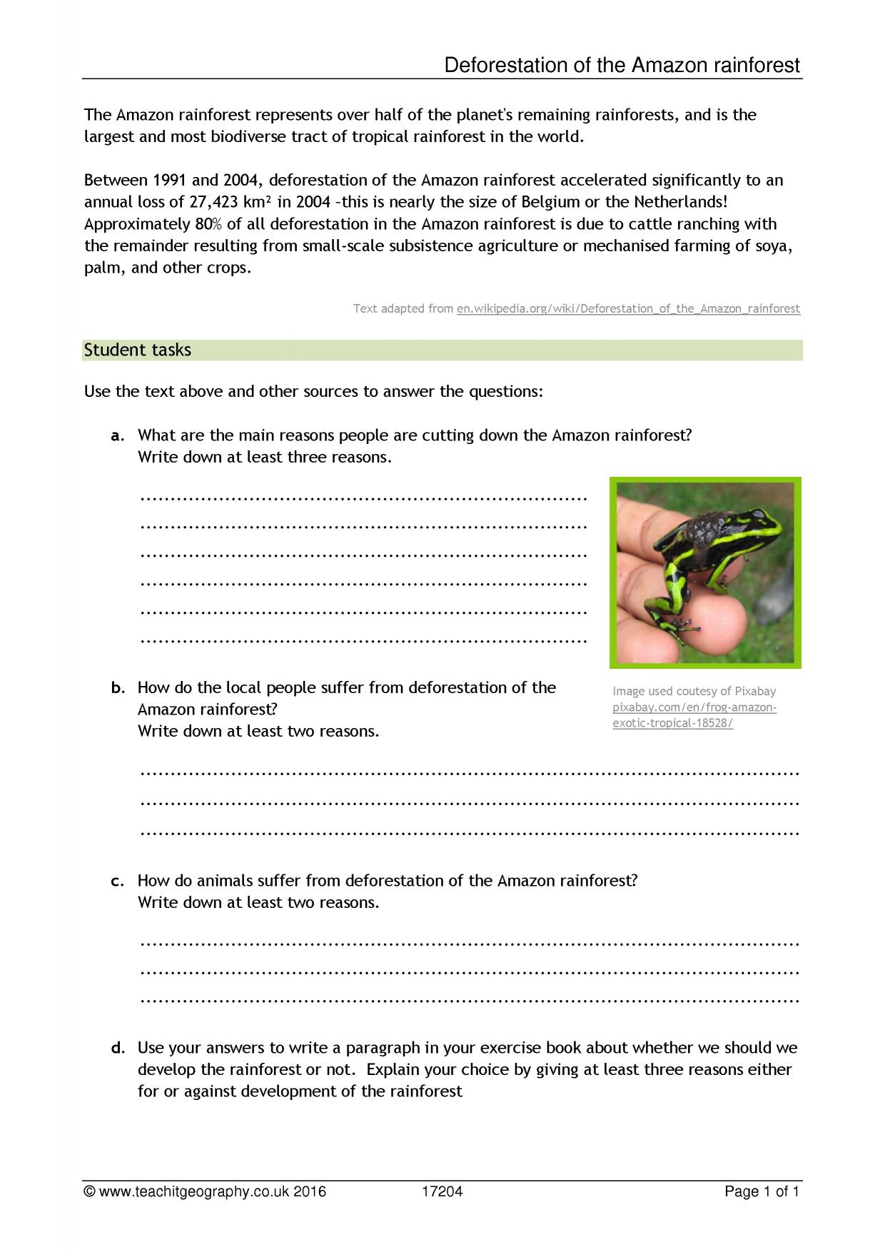 Introduction to deforestation worksheet | KS3 geography | Teachit