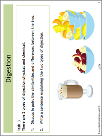 Digestion