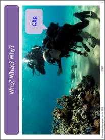 Sea
