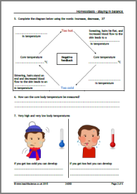 Homeostasis