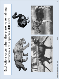 Extinction