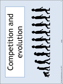 Competition