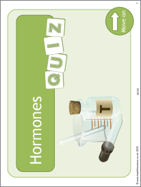 Hormones