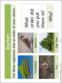 Ecosystems: