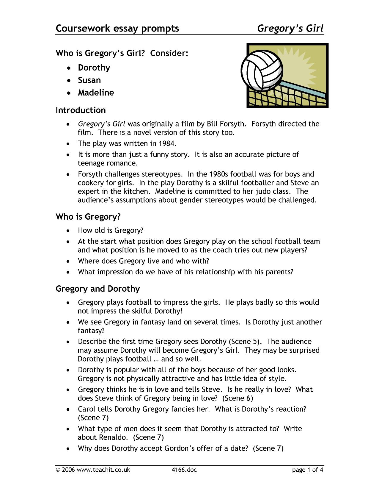 Essay