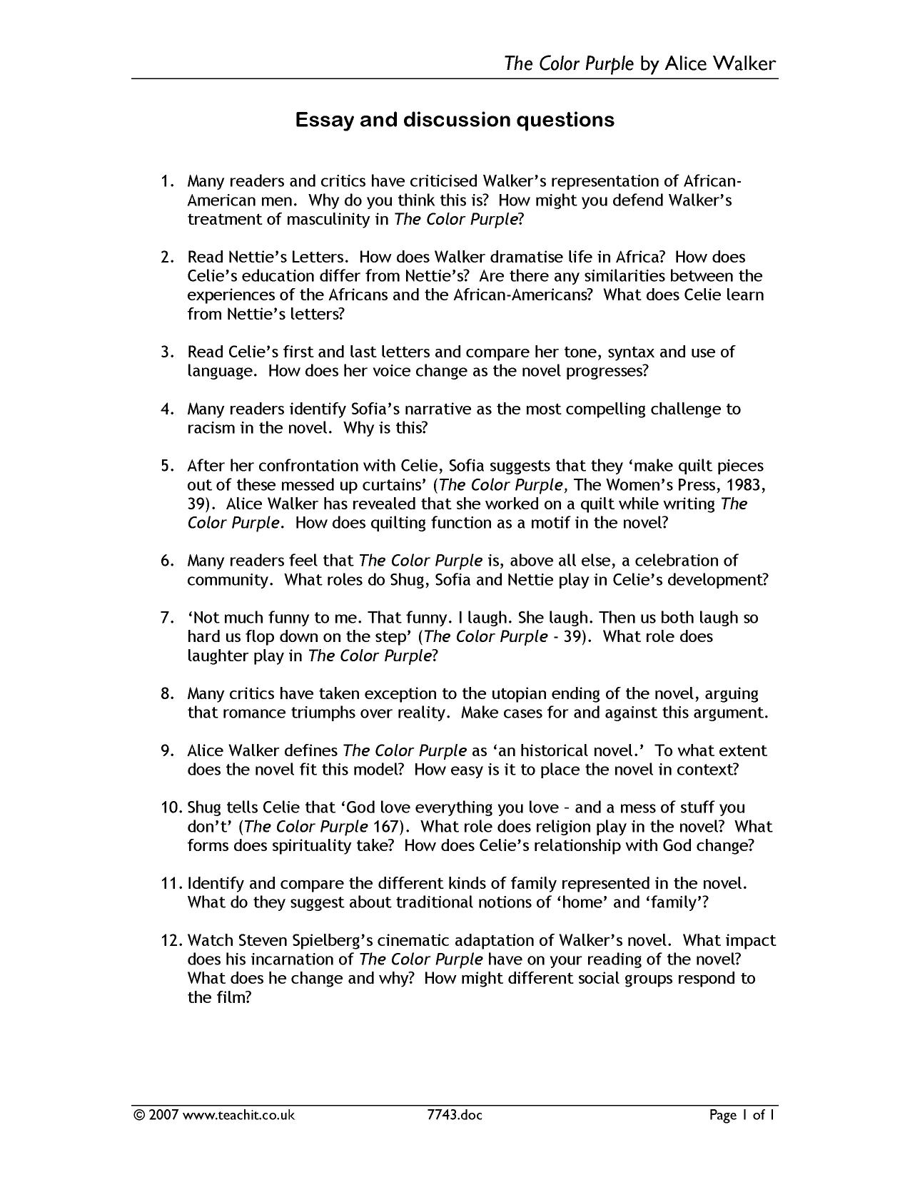 Essay
