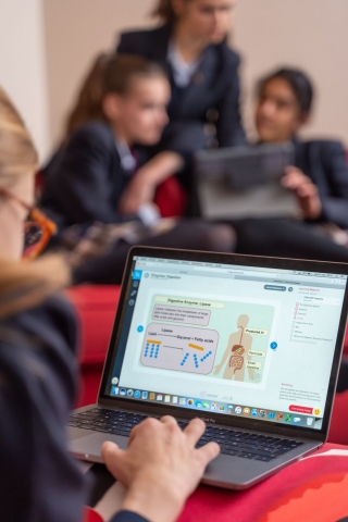 Students learning with laptops