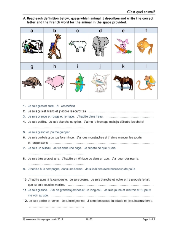 Animal descriptions|Reading|KS3 French teaching resource|Teachit