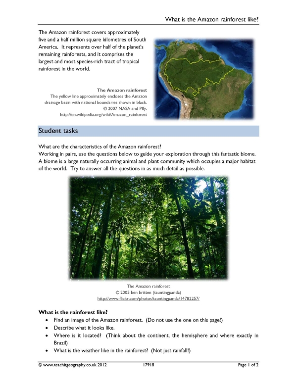 Amazon rainforest enquiry | KS3 geography | Teachit