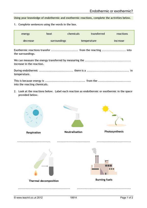 year-7-science-revision-sheets-teaching-resources-bundle-year-7-revision-worksheets-for