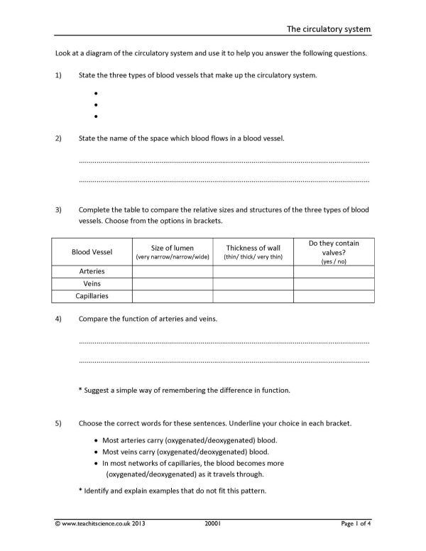 Circulatory system worksheet|KS4 Biology|Teachit