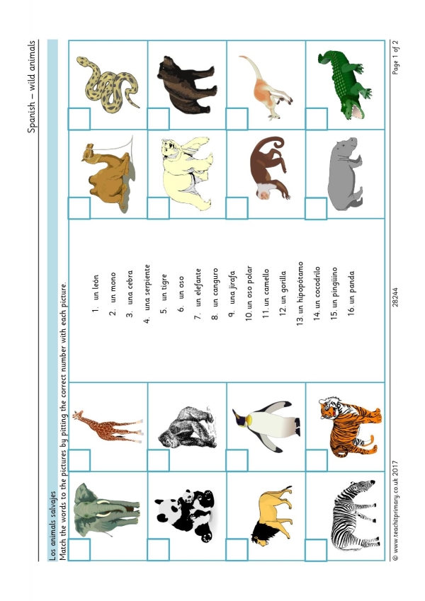 Wild animals | vocabulary match | KS1 | KS2 | Spanish | Teachit