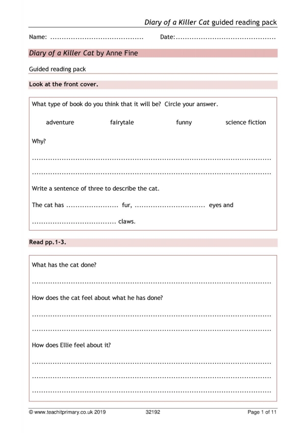 Diary of a Killer Cat guided reading pack