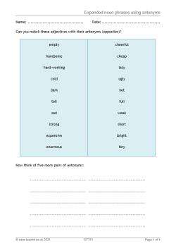 Image of expanded noun phrases using antonyms resource