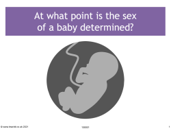 Image of sex determination resource