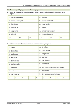 Johnny Hallyday, une vraie icône worksheet