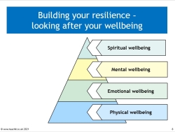 Wellbeing and resilience infographic 