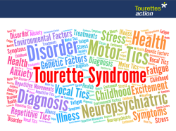 Tourette Syndrome presentation for secondary students image