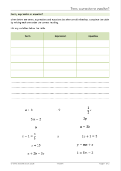 Term, expression or equation activity