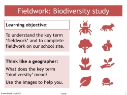 Fieldwork: biodiversity study