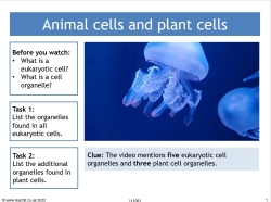 GCSE biology video: animal cells and plant cells