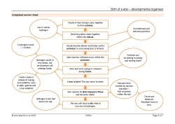 Birth of a star – developmental organiser