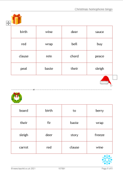 Christmas homophone bingo resource
