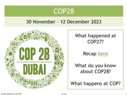 COP28 lesson