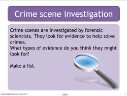 Crime scene investigators lesson activity