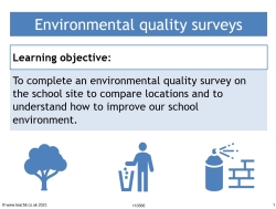 Environmental Quality Surveys