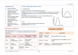 Enzymes revision mat