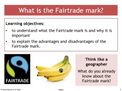 What is the Fairtrade mark?