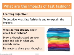What are the impacts of fast fashion?