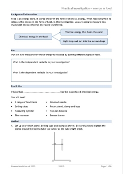 Practical investigation – energy in food