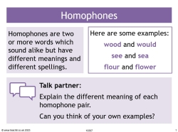 Homophones practice
