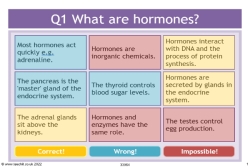 Impossible! Hormones quiz