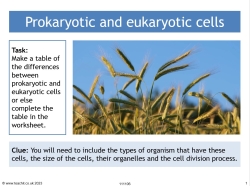 GCSE biology video: prokaryotic and eukaryotic cells