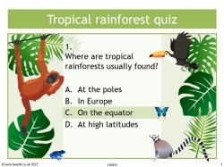 Rainforest quiz