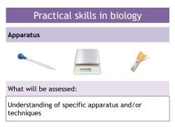Required practical skills in biology – apparatus