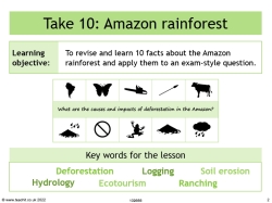 Take 10: Amazon rainforest