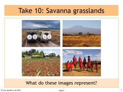 Take 10: Savanna grasslands