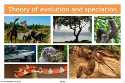 Theory of evolution and speciation