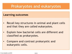 Understanding prokaryotes and eukaryotes