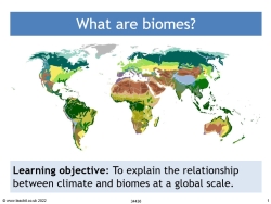 What are biomes?