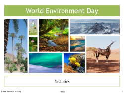 15 ideas for World Environment Day