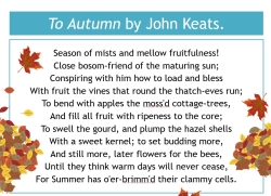 Write an autumn poem